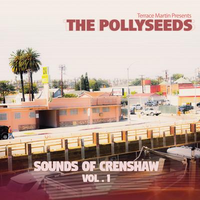 Intentions By Terrace Martin Presents The Pollyseeds, Terrace Martin, Chachi's cover