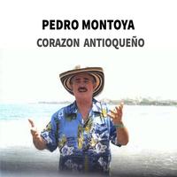 Pedro Montoya's avatar cover
