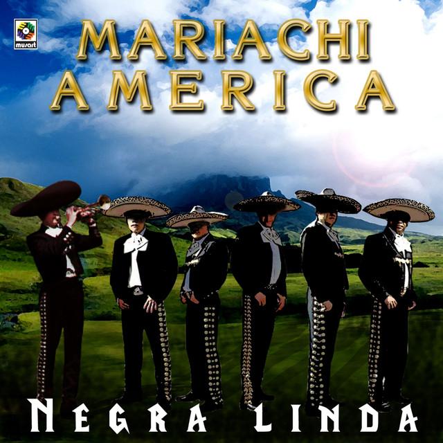 Mariachi America's avatar image