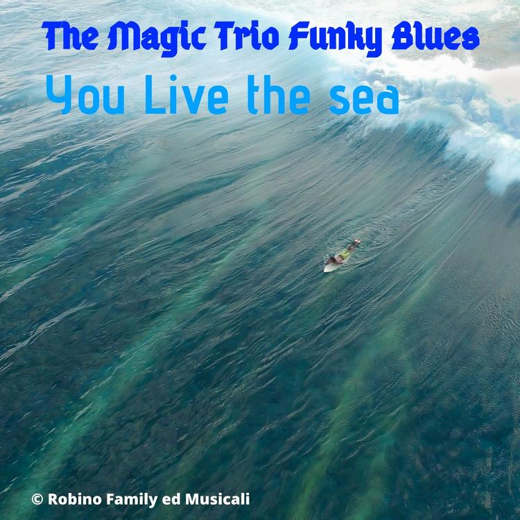 The Magic trio Funky Blues's avatar image