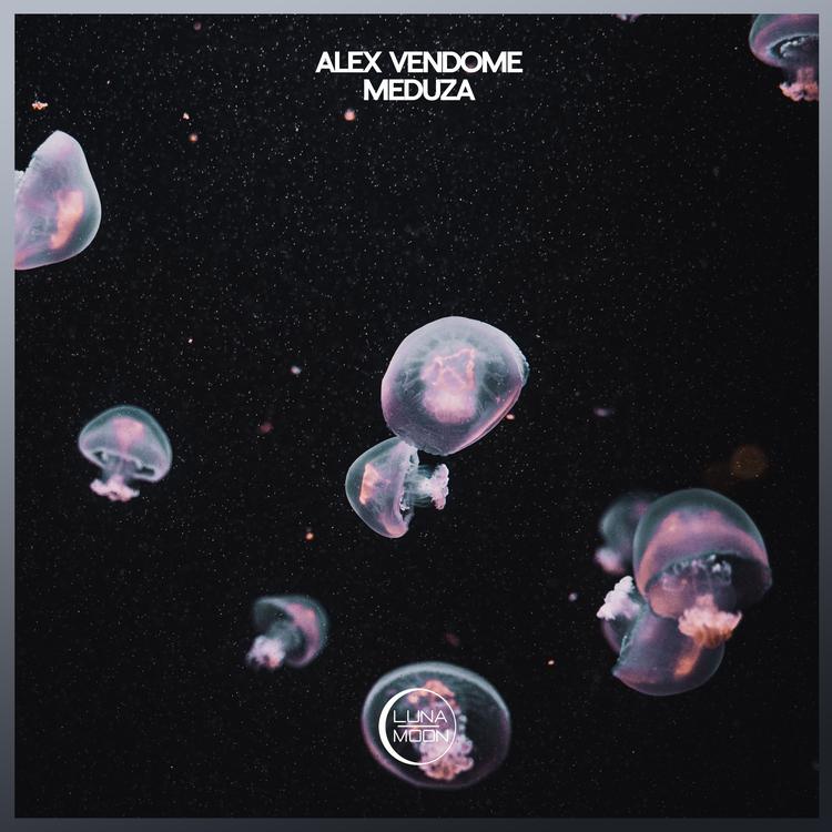 Alex Vendome's avatar image