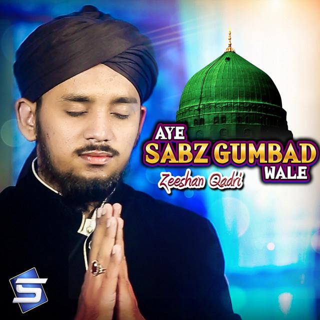 Zeeshan Qadri's avatar image