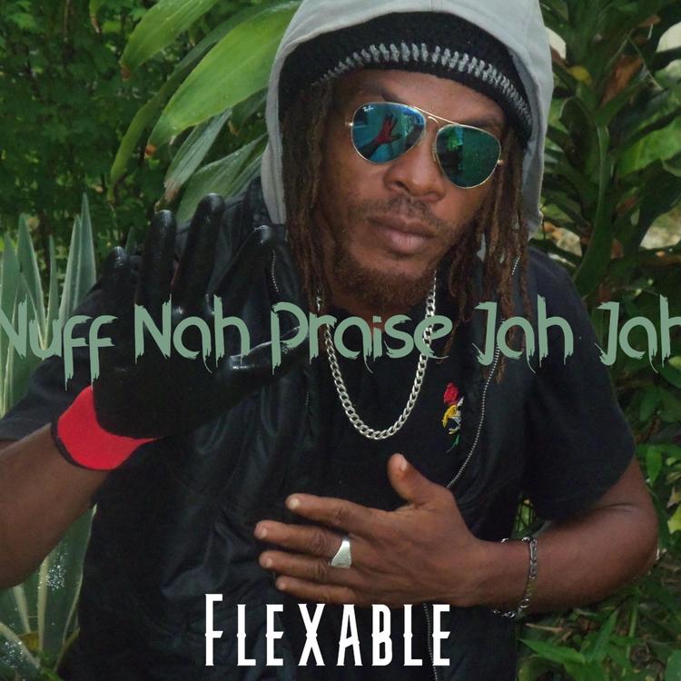 Flexable's avatar image