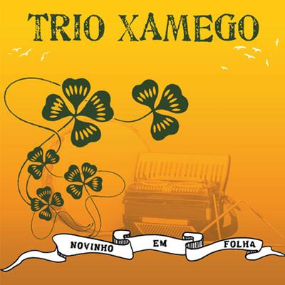 Minhas Desculpas By Trio Xamego's cover