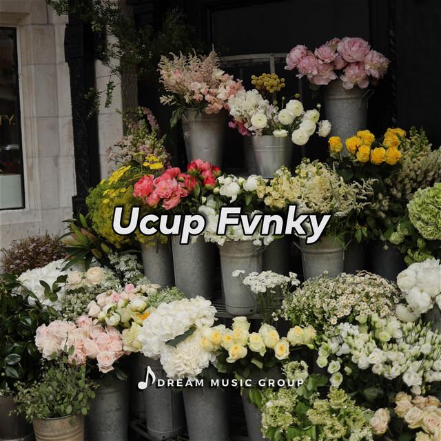 Ucup Fvnky's avatar image