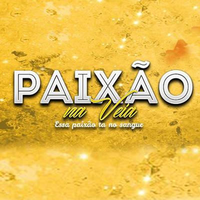 Paraquedas By Paixão Na Veia's cover