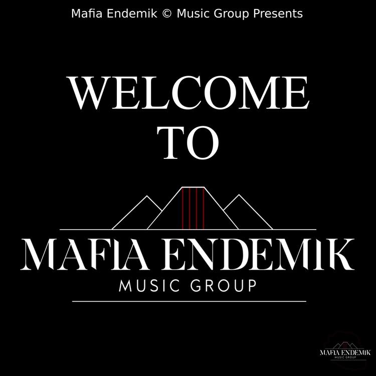 Mafia Endemik Music Group's avatar image