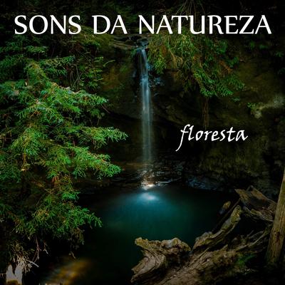 Sons da Natureza: Floresta, Pt. 19 By Dormir Profundamente, Música Relaxante's cover