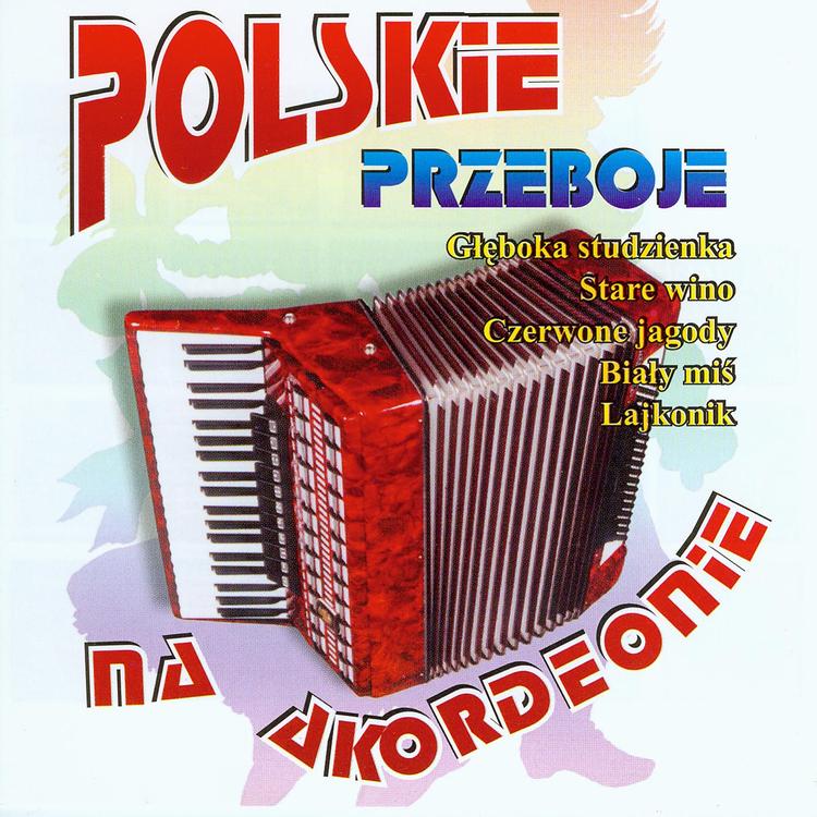 Polskie Przeboje na Akordeonie's avatar image