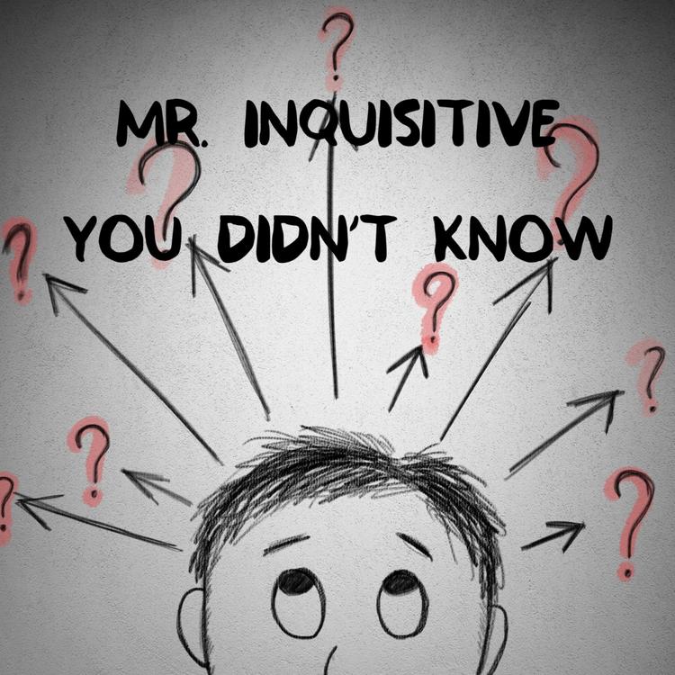 Mr Inquisitive's avatar image