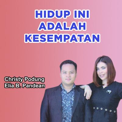 Christy Podung's cover