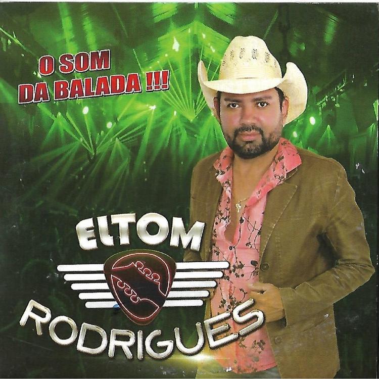 Eltom Rodrigues's avatar image