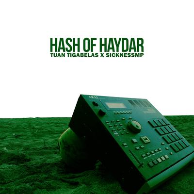 Hash Of Haydar's cover