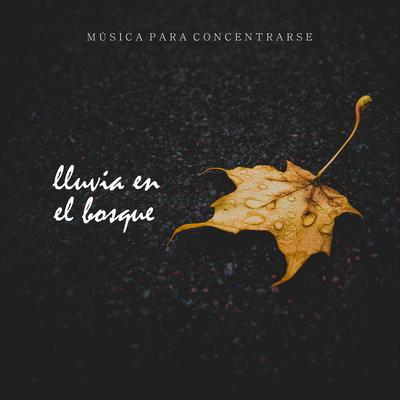 Música para Concentrarse: Lluvia en el Bosque, Pt. 02's cover