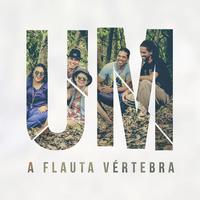 A Flauta Vértebra's avatar cover