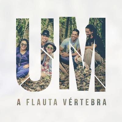 A Flauta Vértebra's cover