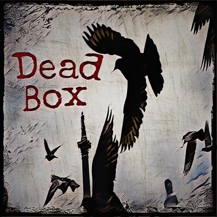 Dead Box's avatar image