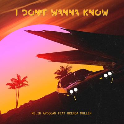 I Don't Wanna Know By Melih Aydogan, Brenda Mullen's cover