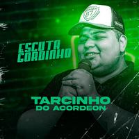 Tarcinho Do Acordeon's avatar cover