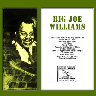 Back Home Blues By Big Joe Williams's cover