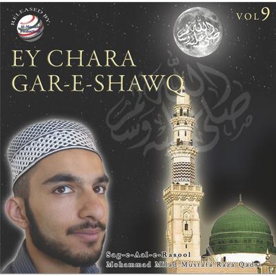 Mohammad Milad Mustafa Raza Qadri's cover