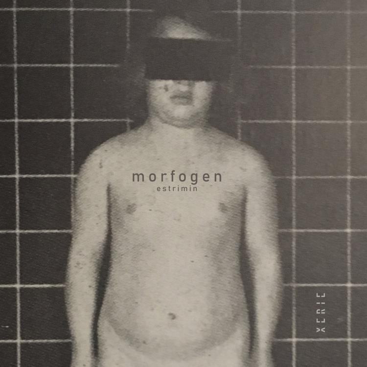 Morfogen's avatar image