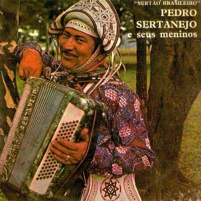 Pedro Sertanejo e Seus Meninos's cover