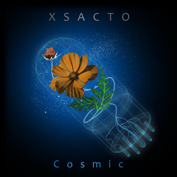 Xsacto's avatar image