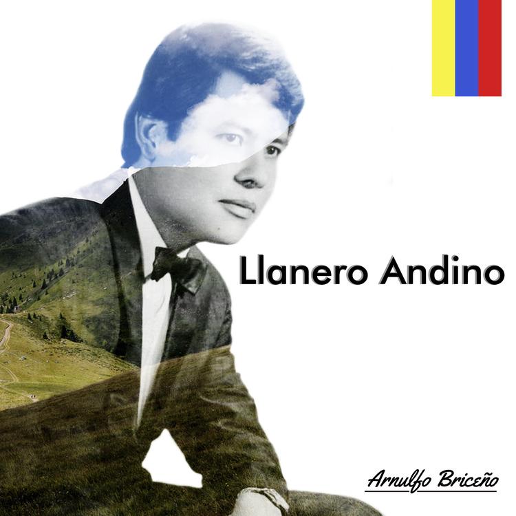 Arnulfo Briceño's avatar image