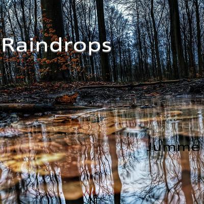 Raindrops's cover
