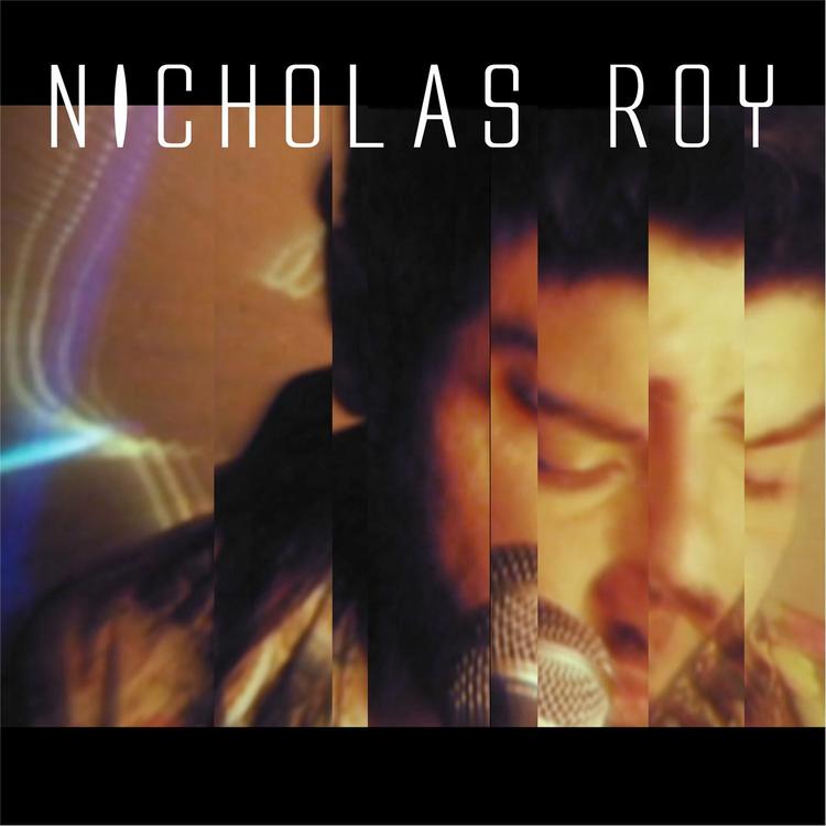 Nicholas Roy's avatar image