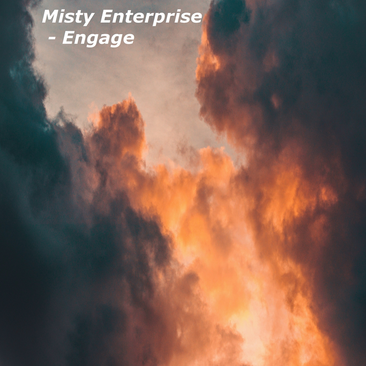 Misty Enterprise's avatar image