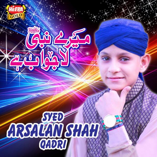 Syed Arsalan Shah Qadri's avatar image