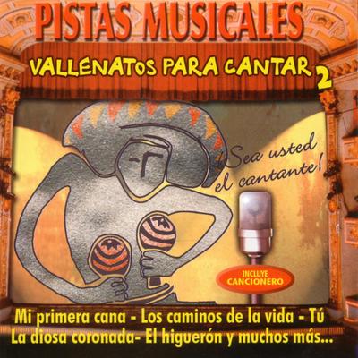Los Románticos Vallenatos's cover