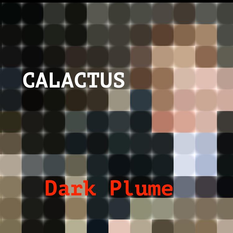 Calactus's avatar image