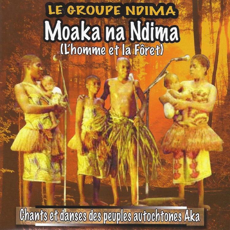 Le Groupe Ndima's avatar image