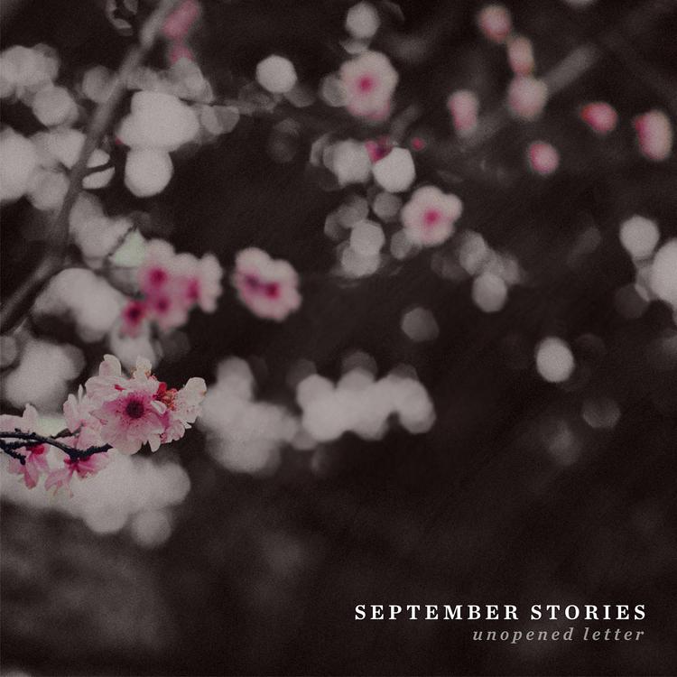 September Stories's avatar image