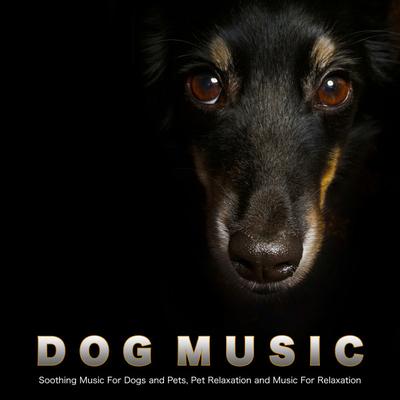 Calming Music For Pets's cover