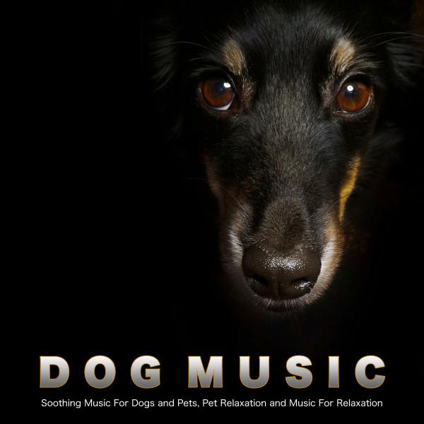 Calming Music For Pets's avatar image