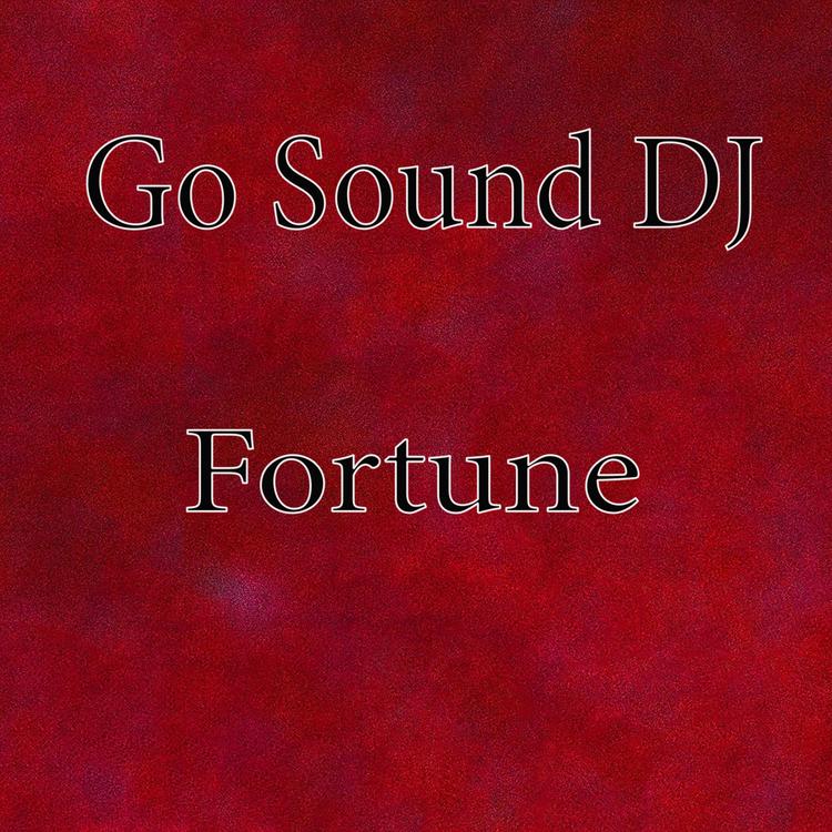 Go Sound DJ's avatar image