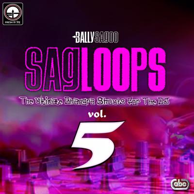 Sagloops Volume 5 - The Ultimate Bhangra Shouts For The DJ's cover