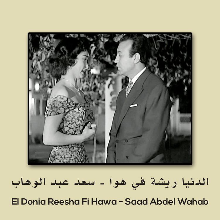 Saad Abdel Wahab's avatar image