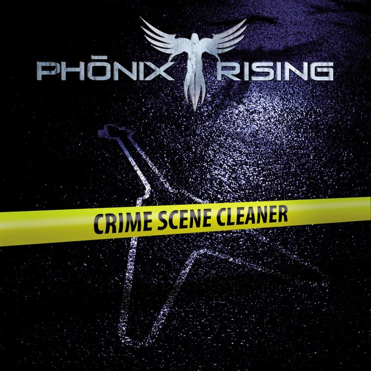 Phönix Rising's avatar image