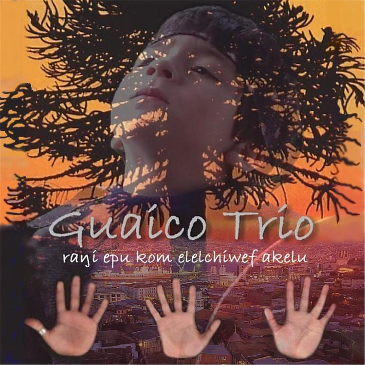 Guaico Trio's avatar image