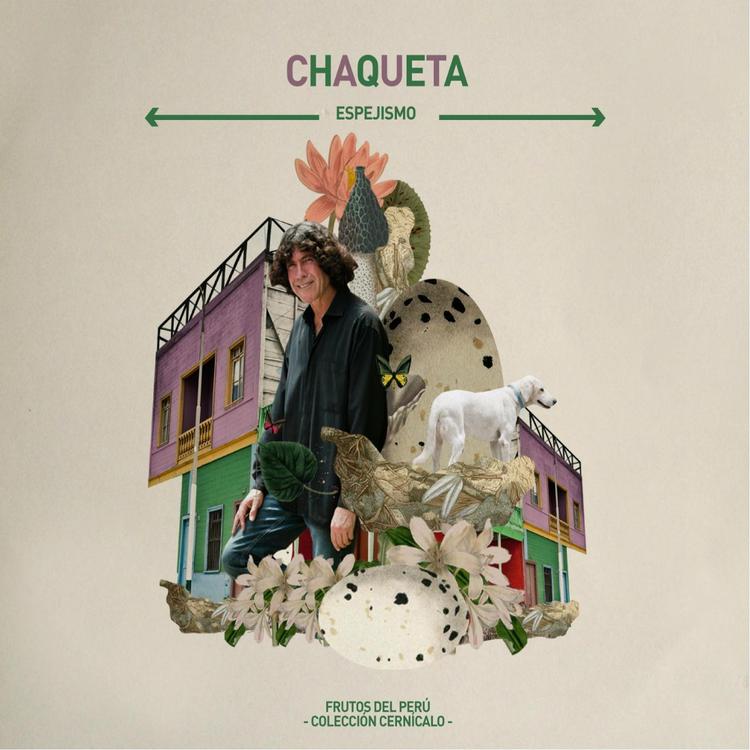 Chaqueta's avatar image