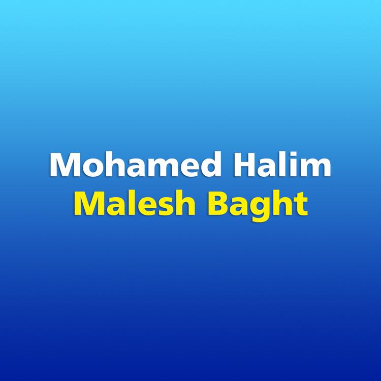 Mohamed Halim's avatar image
