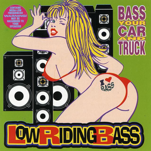 Low Riding Bass's avatar image