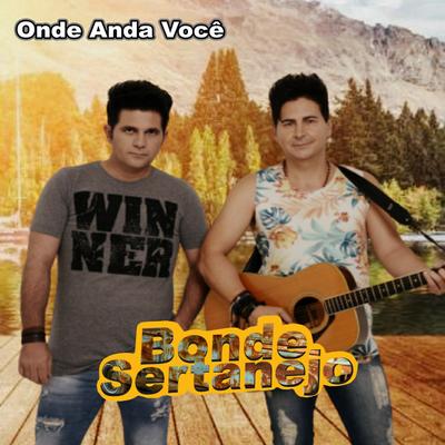 Onde Anda Você (Ao Vivo) By Bonde Sertanejo's cover