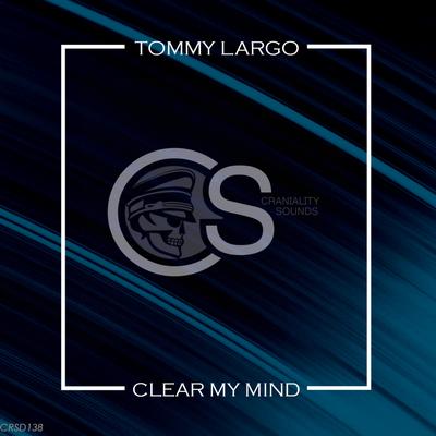 Got To Be Phunky (Original Mix) By Tommy Largo's cover