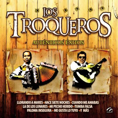 Los Troqueros (Auténticos Éxitos)'s cover